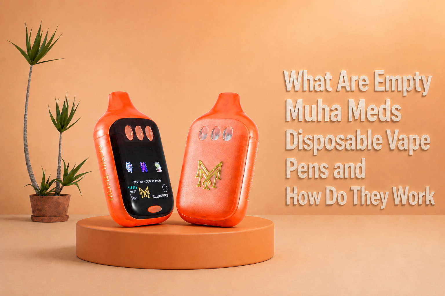 What Are Empty Muha Meds Disposable Vape Pens and How Do They Work
