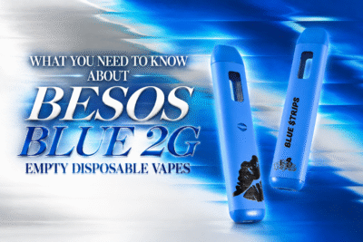 What You Need to Know About Besos Blue 2g Empty Disposable Vapes