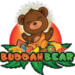 Buddah Bear Disposable