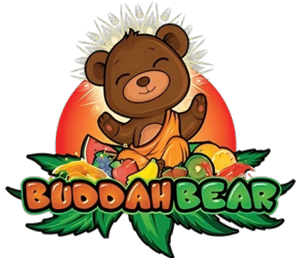 Buddah Bear Disposables